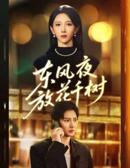 东风夜放花千树＆＆燕西误尽瑶台月（91集全）白羽＆高明君-海之城短剧项目