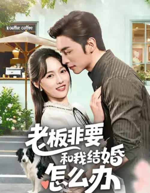 老板非要和我结婚怎么办（50集全）王博＆李媛菁-海之城短剧项目