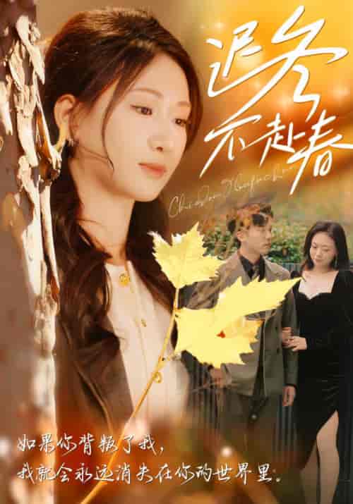 迟冬不赴春（56集全）冯思源＆张予湉 - 海之城短剧
