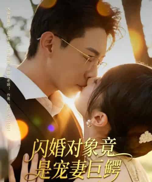 闪婚对象竟是宠妻巨鳄（74集全）陶思源＆周昭昭-海之城短剧项目