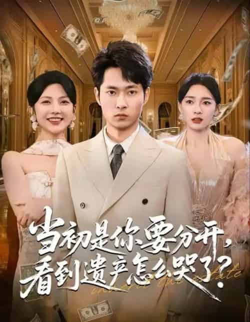 当初是你要分开，看到遗产怎么哭了？（70集全）霍俊全＆金珊＆曹瑶佳-海之城短剧项目