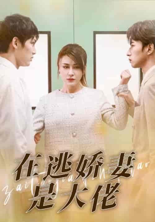 在逃娇妻是大佬（77集）宁远＆颜小念 - 海之城短剧