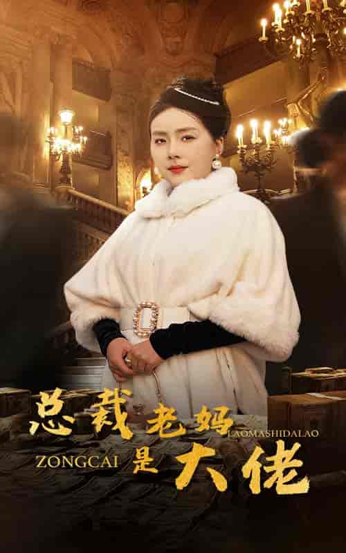 总裁老妈是大佬（35集全） - 海之城短剧