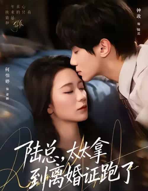 陆总，太太拿到离婚证跑了（86集全）钟政＆何依婷-海之城短剧项目