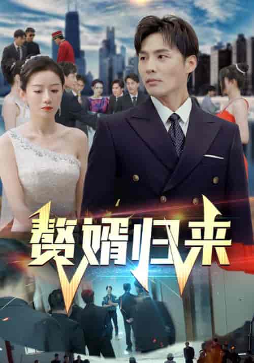 赘婿归来 赘婿归来