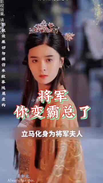 哎呀女将军成了总裁夫人（80集）穿越剧 - 海之城短剧