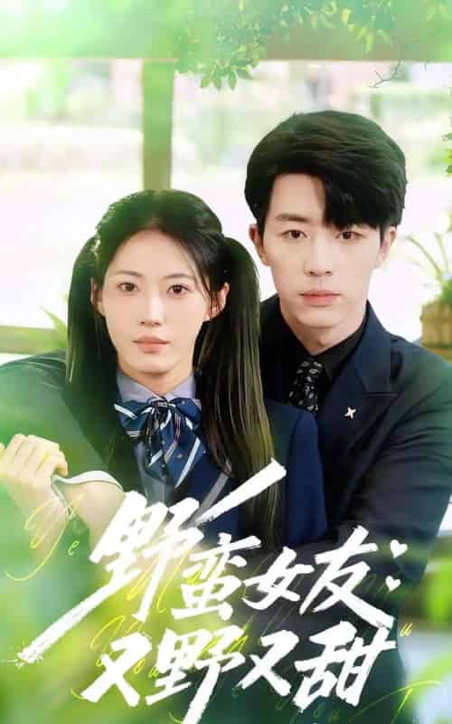 野蛮女友又野又甜（100集全）大宝＆王熳熳-海之城短剧项目