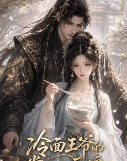 冷面王爷的掌心小厨娘（41集全）AI-海之城短剧项目