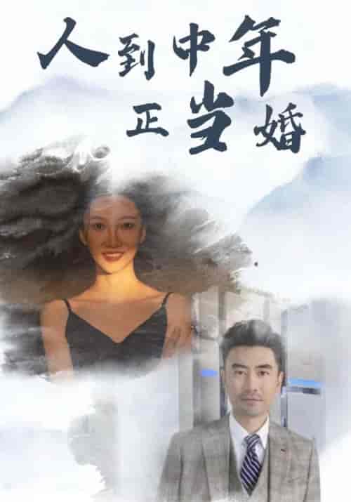 人到中年正当婚（81集全）林祥＆张贤惠 - 海之城短剧