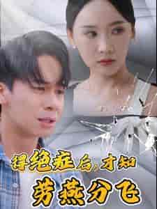 得绝症后才知劳燕分飞（31集全） - 海之城短剧