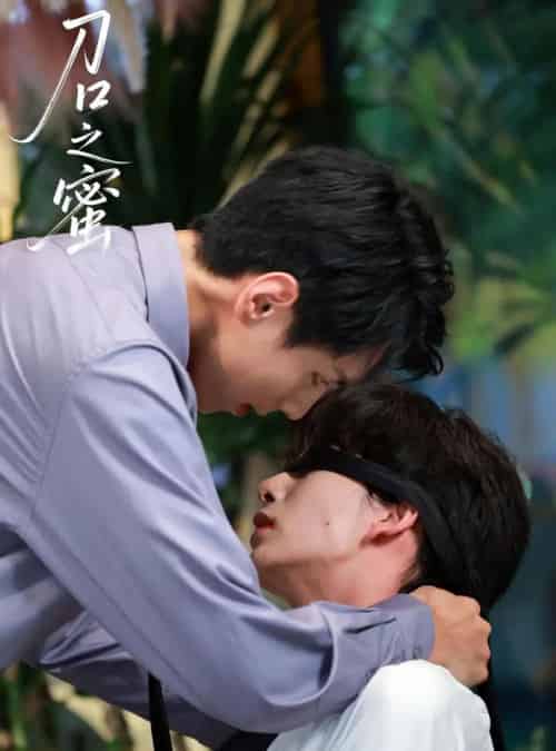 刀口之蜜（46集全）刘晏辰＆王年将成-海之城短剧项目