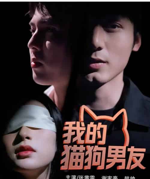 我的猫狗男友（53集）张茜雯-海之城短剧项目