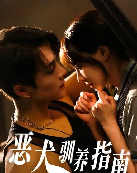 恶犬驯养指南（40集）成子太＆姚凯辰 - 海之城短剧