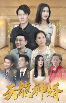 天龙神婿（80集） - 海之城短剧
