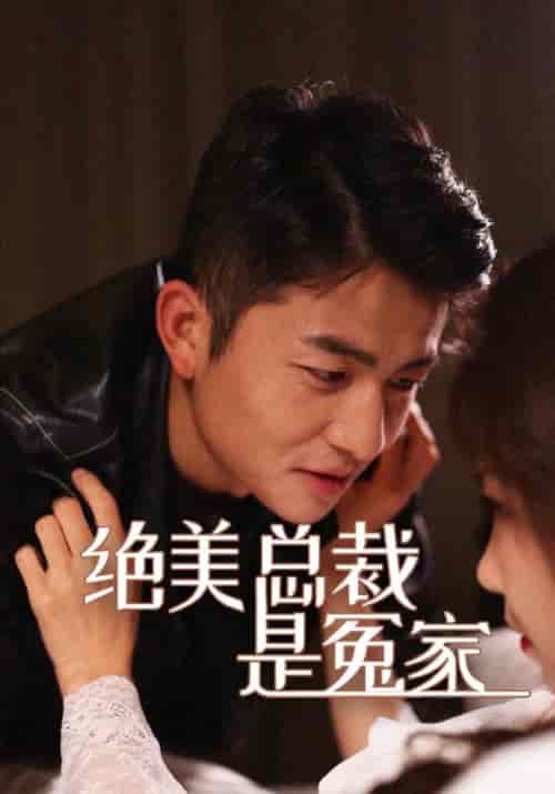 绝美总裁是冤家（94集）江辰＆刘恩熙 - 海之城短剧