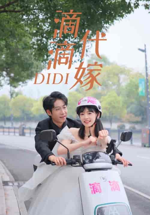 滴滴代嫁（92集） - 海之城短剧