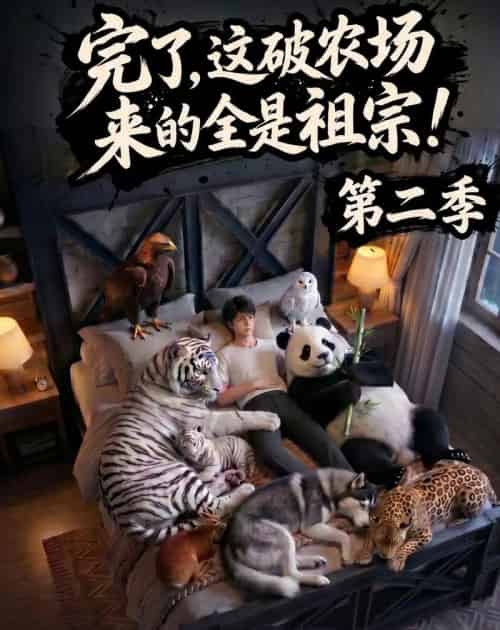 完了，这破农场来的全是祖宗！第二季（82集全）AI-海之城短剧项目