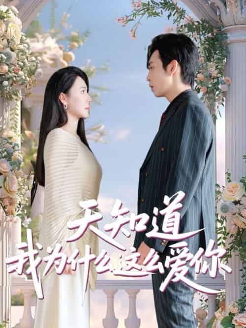 天知道我为什么这么爱你 天知道我为什么这么爱你