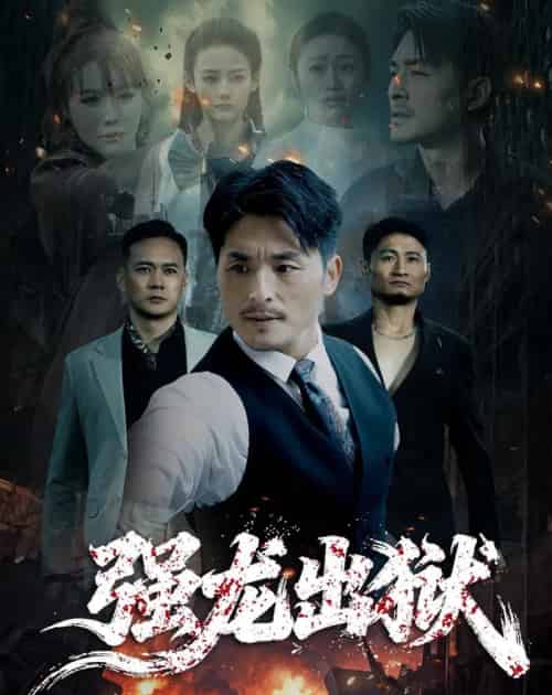 强龙出狱（53集全）王凯＆李嫣婷-海之城短剧项目