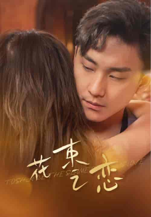 花束之恋（76集） - 海之城短剧