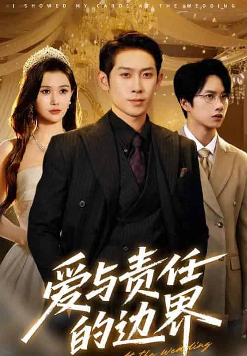 爱与责任的边界（35集）彭羽＆王新颖 - 海之城短剧