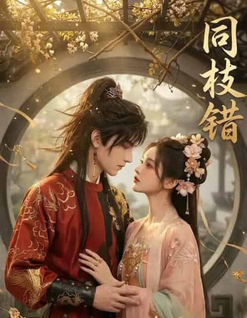 同枝错（39集全）AI-海之城短剧项目