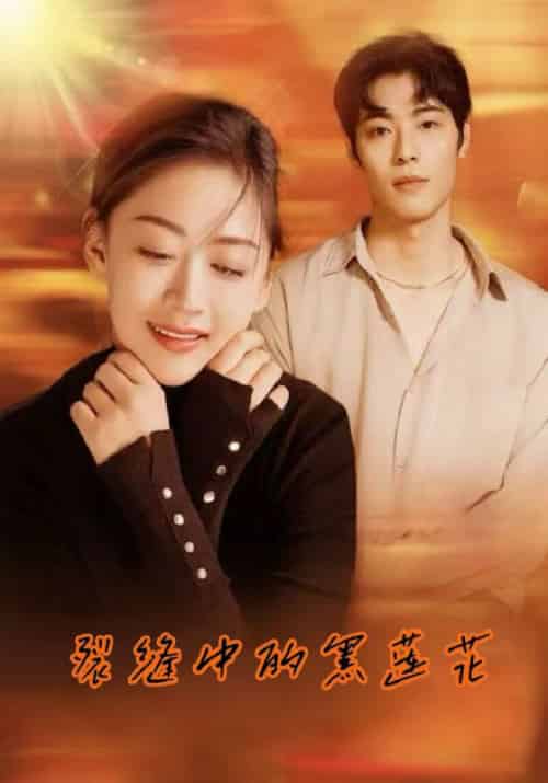 裂缝中的黑莲花（77集全）商陆＆于星画 - 海之城短剧