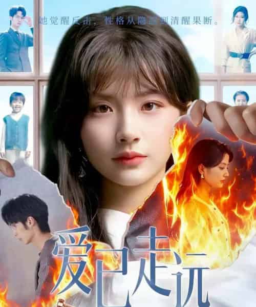 爱已走远（60集全）王浩＆何可人-海之城短剧项目