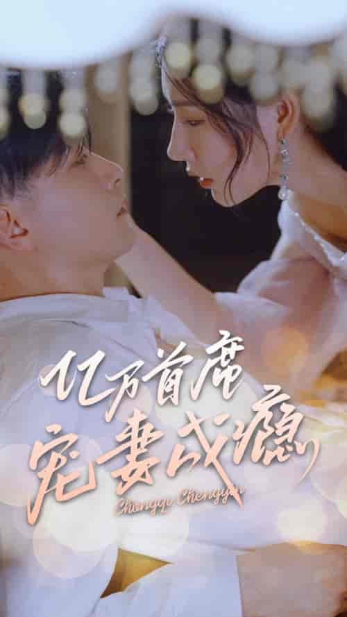 亿万首席宠妻成瘾 - 海之城短剧