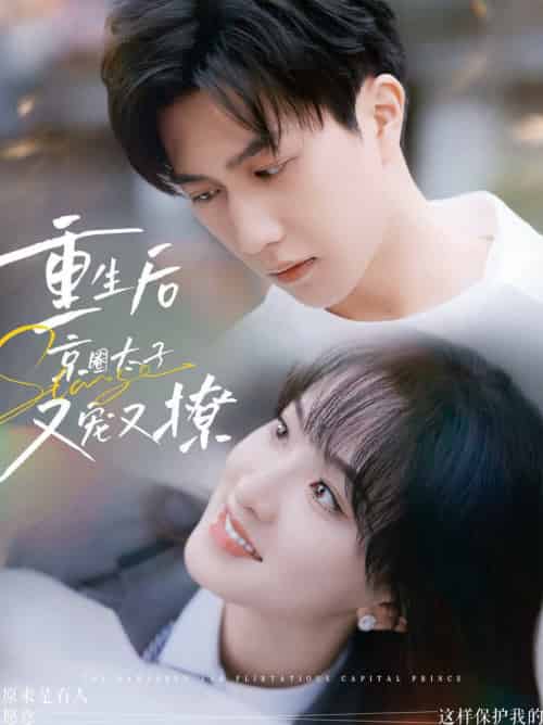 重生后京圈太子又宠又撩（72集全） - 海之城短剧