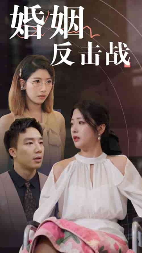 婚姻反击战（40集全）邹佳欣 - 海之城短剧