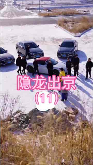 隐龙出京（90集） - 海之城短剧