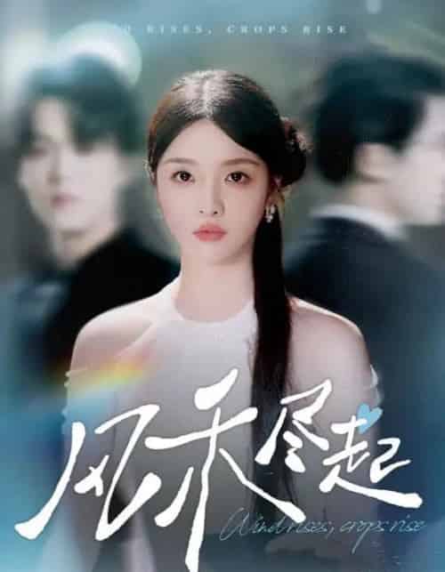 风禾尽起（44集全）张英杰＆罗永瑶-海之城短剧项目