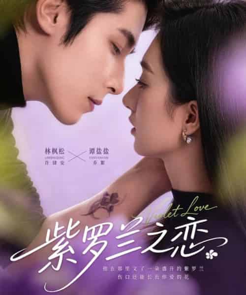 紫罗兰之恋（82集全）谭盐盐＆林枫松-海之城短剧项目