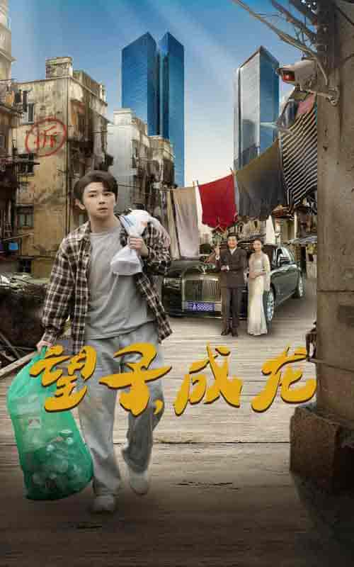 望子成龙（60集全） - 海之城短剧