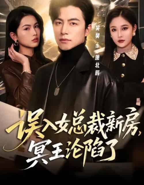 误入女总裁新房，冥王沦陷了（80集全）吴昊＆张亚迪-海之城短剧项目