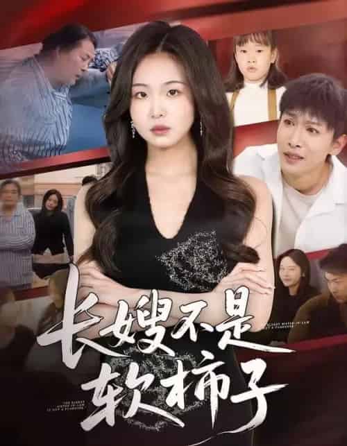 长嫂不是软柿子（50集全）王昊翔＆田嘉蓉-海之城短剧项目