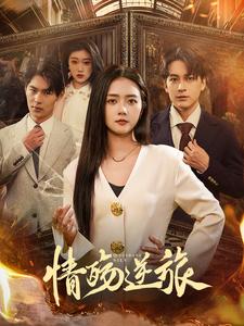 情殇逆旅（90集全）雷玉孟 - 海之城短剧