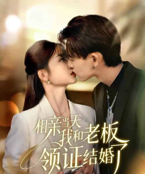 相亲当天我和老板领证结婚了（52集全）刘苗苗＆张本睿-海之城短剧项目