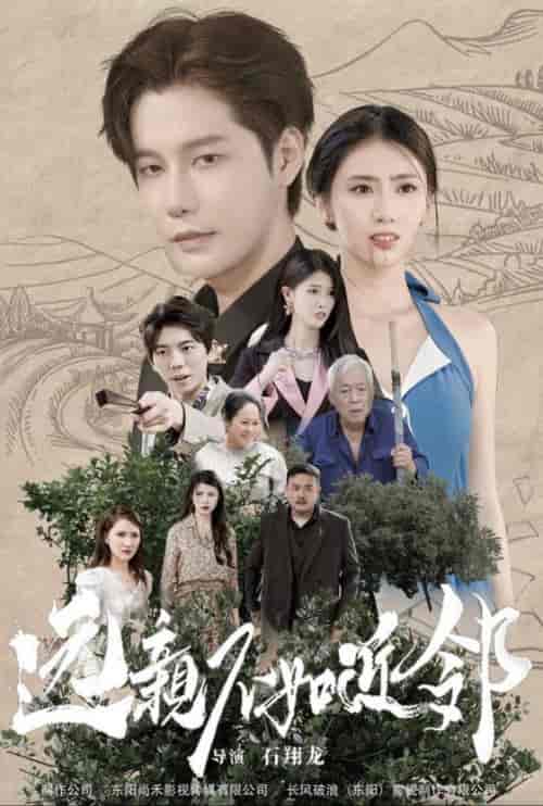 远亲不如近邻（76集全） - 海之城短剧