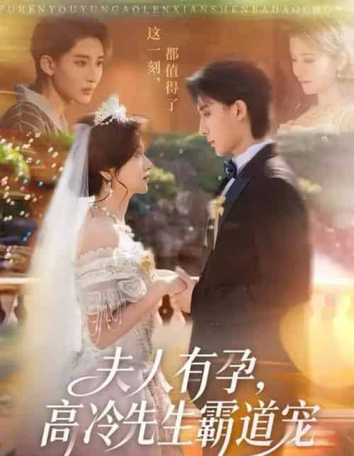 夫人有孕，高冷先生霸道宠（60集全）李思潼＆译泽-海之城短剧项目