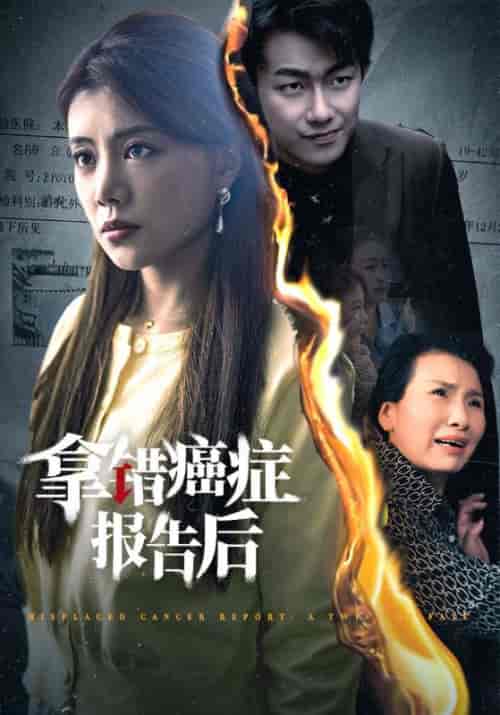 拿错癌症报告后（33集全）赵志刚＆潘月 - 海之城短剧