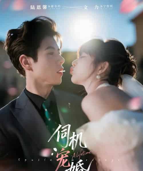 伺机宠婚（80集全）文力＆陆恩馨 - 海之城短剧