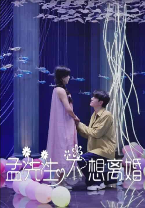 孟先生不想离婚（30集全）孟济川＆宋暖 - 海之城短剧