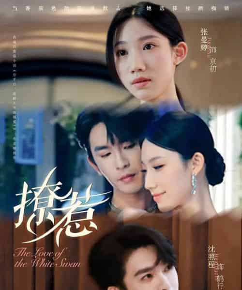 撩惹（80集全）张曼婷＆沈照程 - 海之城短剧