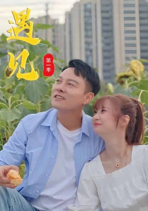 遇见（33集全）张佑振＆樊静芸 - 海之城短剧