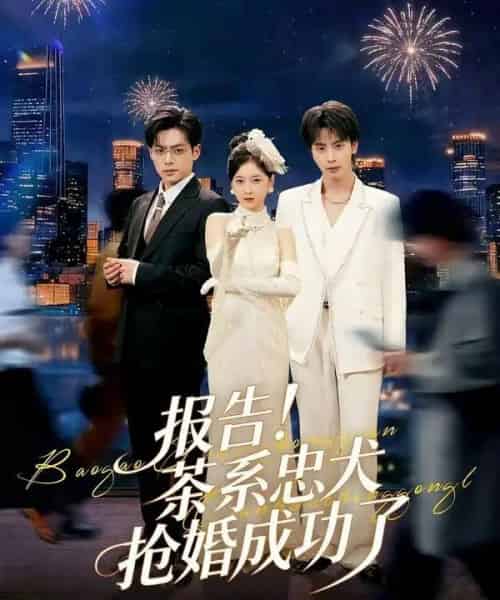 报告！茶系忠犬抢婚成功了（83集全）夏志成＆李珈童-海之城短剧项目