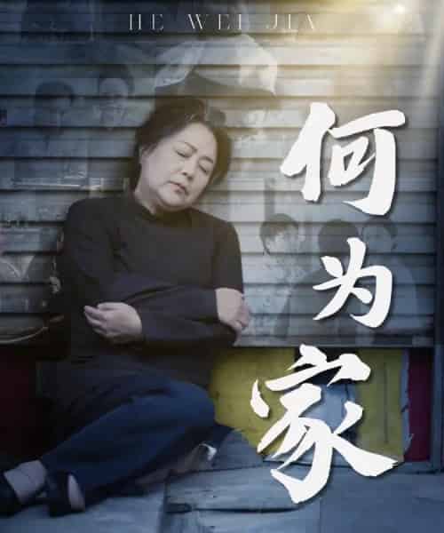 何为家（60集全）李滨俞＆薛琪 - 海之城短剧