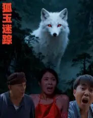 狐玉迷踪（31集全）王瀚漾-海之城短剧项目