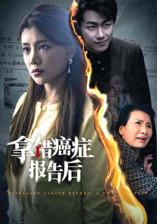 拿错癌症报告后（33集全） - 海之城短剧